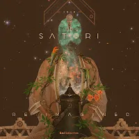 Satori — Tiniri (Satori Re:imagined Mix) — обложка